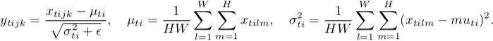Instance Normalization Equations